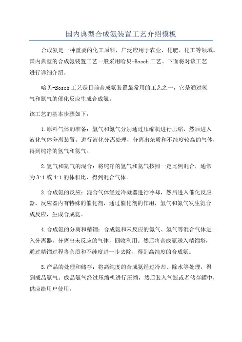 国内典型合成氨装置工艺介绍模板