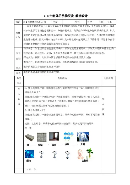 2 3生物体的结构层次  教学设计(表格式) 浙教版科学七年级上册