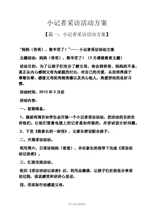 小记者采访活动方案