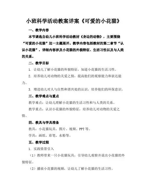 小班科学活动教案详案《可爱的小花猫》