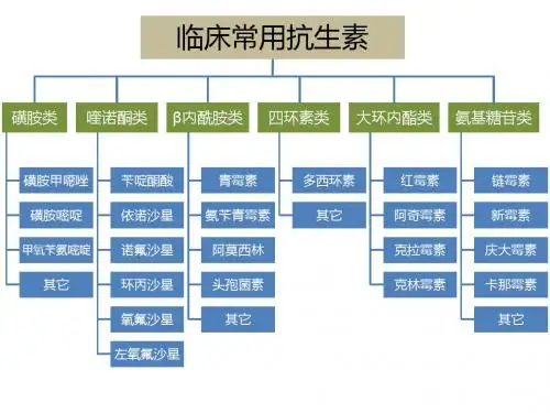 抗生素分类及用药建议
