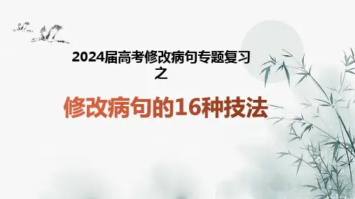 2025届高考修改病句专题复习之修改病句的16种技法课件