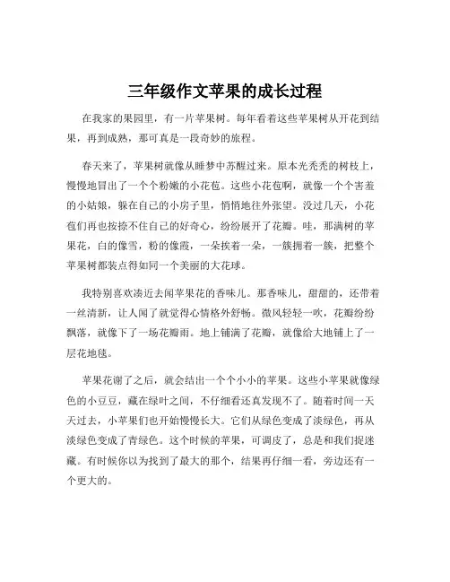 三年级作文苹果的成长过程