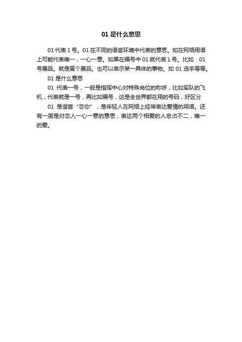 01是什么意思