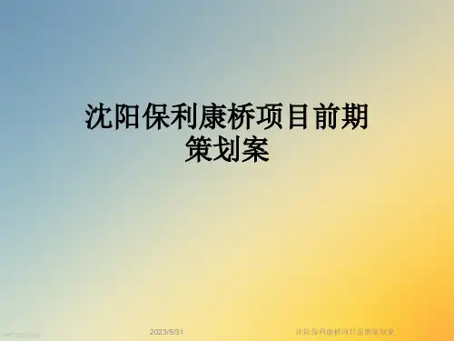 沈阳保利康桥项目前期策划案