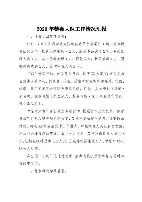 2019年禁毒大队工作情况汇报