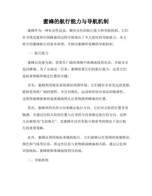 蜜蜂的航行能力与导航机制
