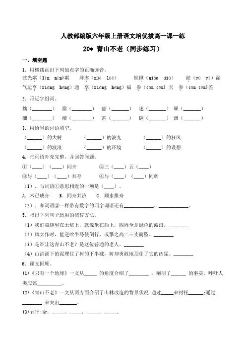 六年级上册语文一课一练-20 青山不老-人教部编版(含答案)