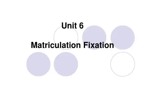 综合英语6unit 6