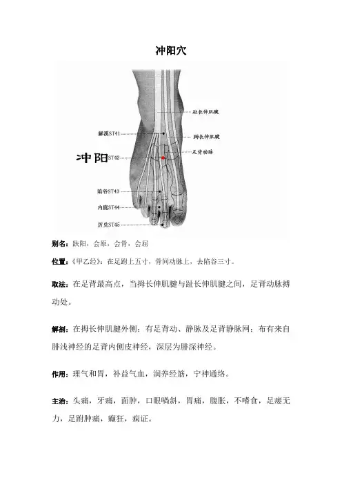 冲阳穴