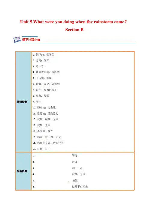 Unit 5 Section B-2022-2023学年八年级英语下册课后培优分级练(人教版)解析版