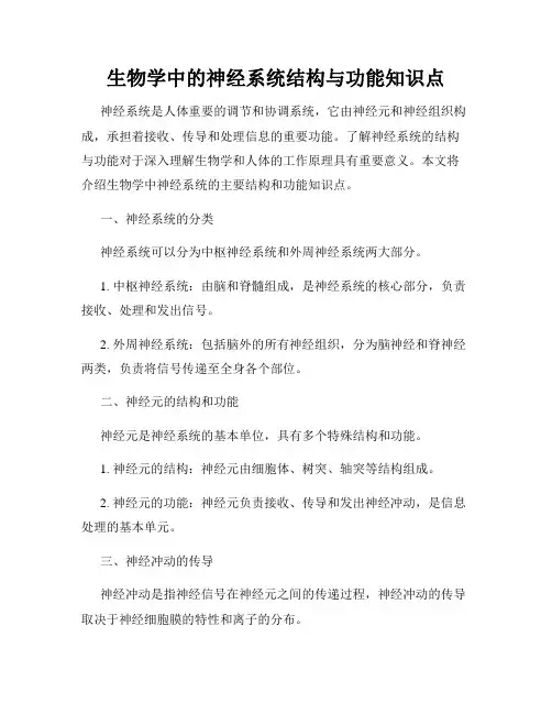生物学中的神经系统结构与功能知识点