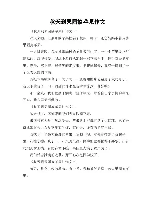 秋天到果园摘苹果作文