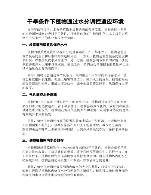 干旱条件下植物通过水分调控适应环境