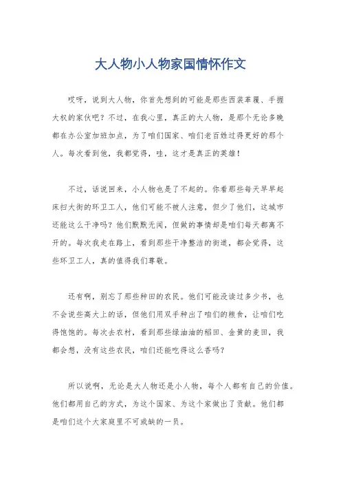 大人物小人物家国情怀作文