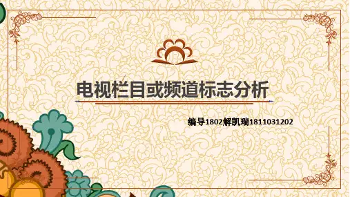 台标和电视栏目logo分析
