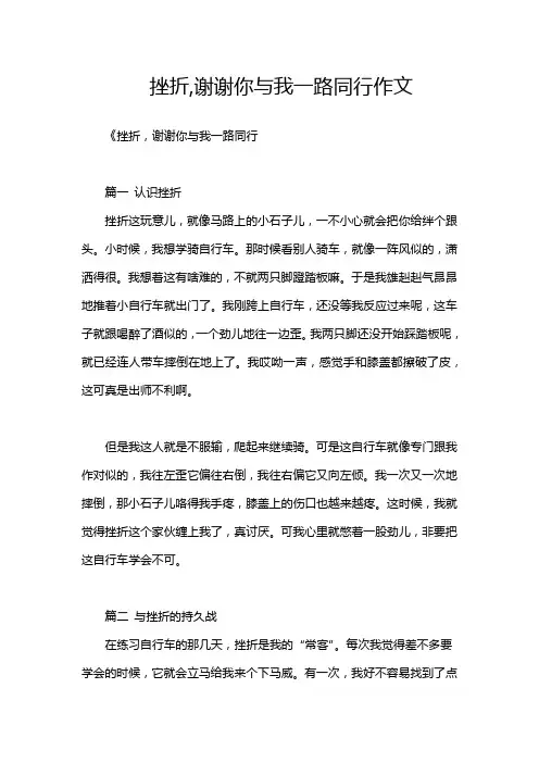 挫折,谢谢你与我一路同行作文