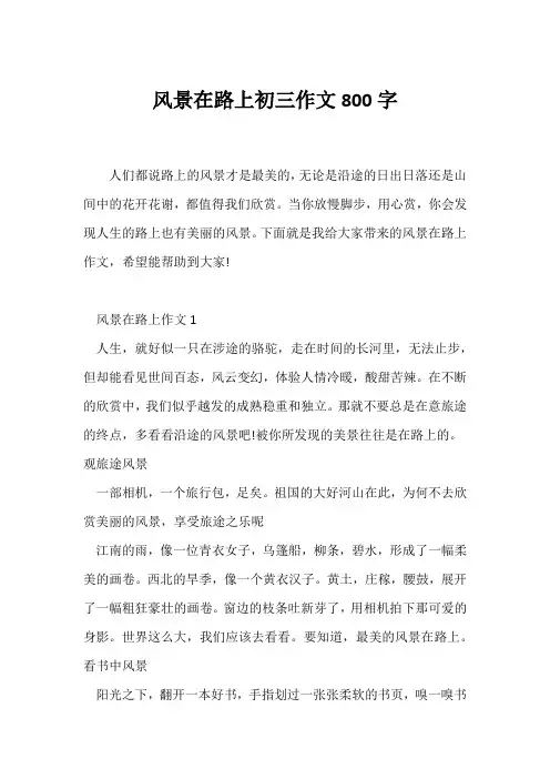 (初三作文)风景在路上初三作文800字