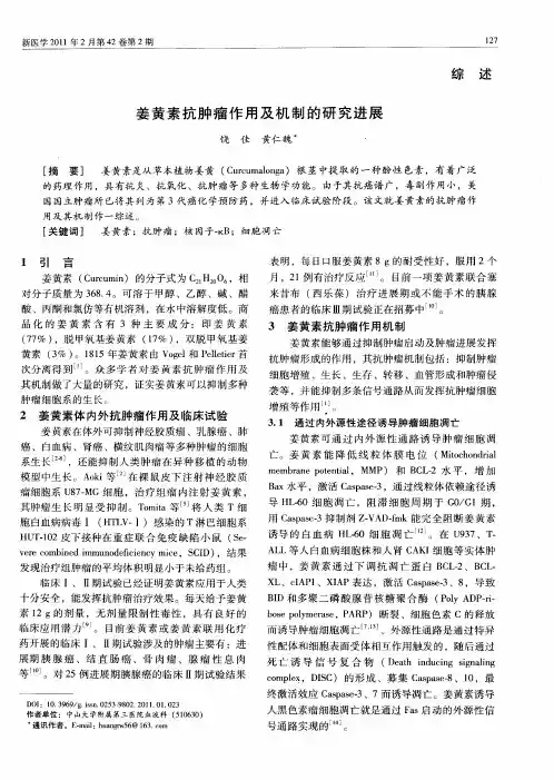 姜黄素抗肿瘤作用及机制的研究进展