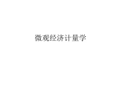 微观经济计量学