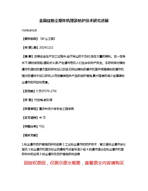 金属镁粉尘爆炸机理及防护技术研究进展