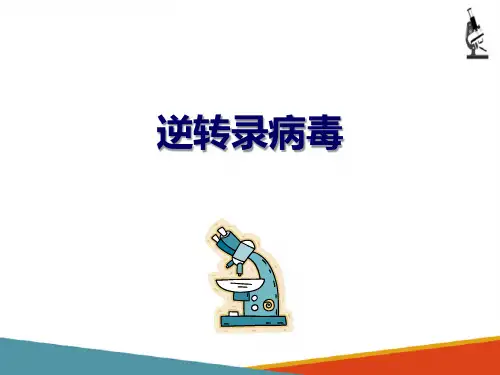 临床常见病毒 逆转录病毒
