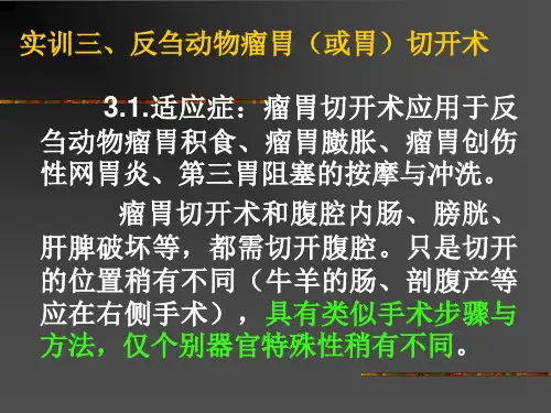 实训瘤胃切开术PPT课件