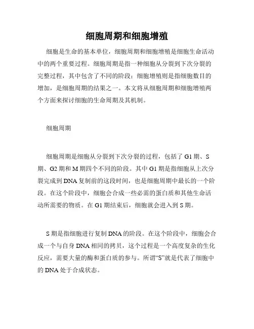 细胞周期和细胞增殖