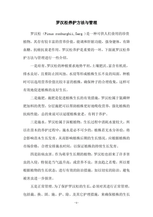 罗汉松养护方法与管理