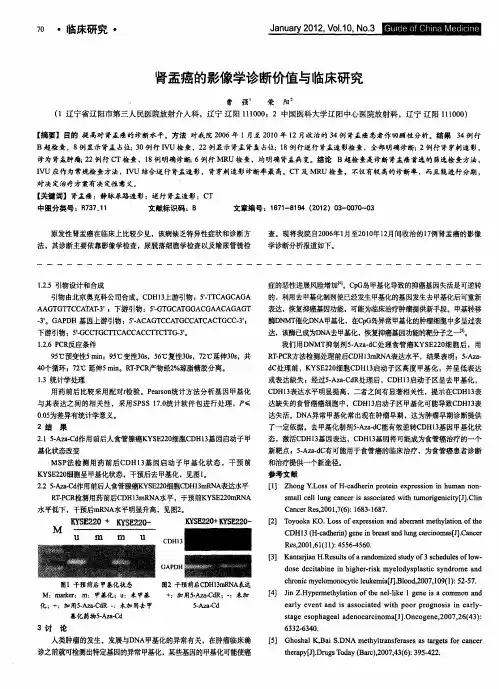 肾盂癌的影像学诊断价值与临床研究