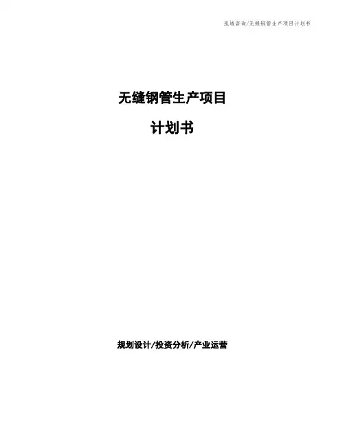 无缝钢管生产项目计划书
