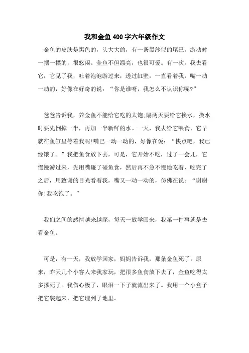 2021我和金鱼400字六年级作文