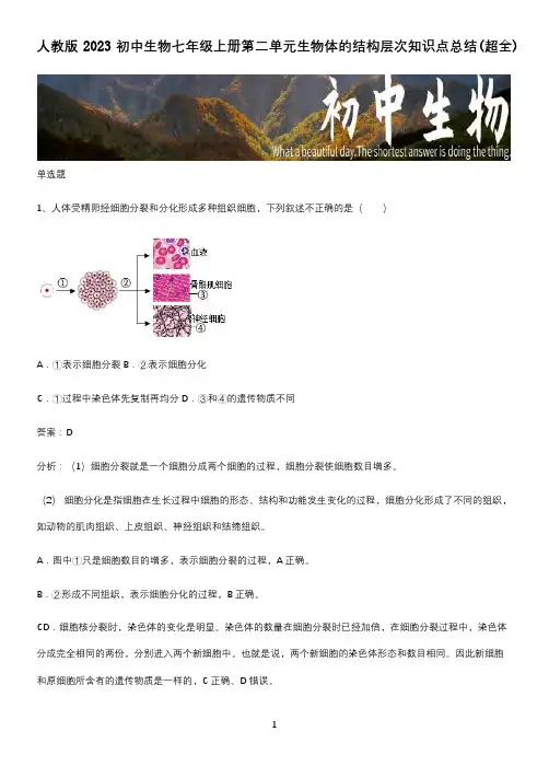 人教版2023初中生物七年级上册第二单元生物体的结构层次知识点总结(超全)