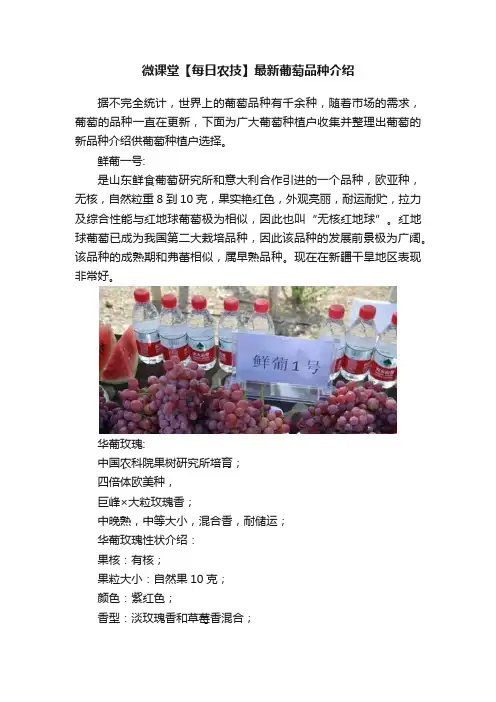 微课堂【每日农技】最新葡萄品种介绍