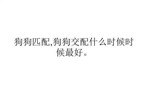 狗狗匹配