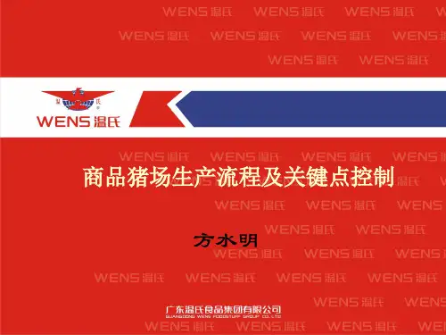 生产流程及关键点控制(方水明)