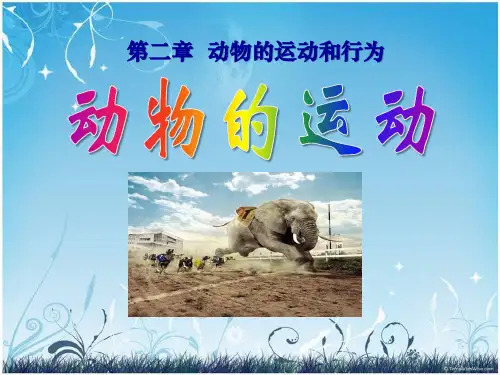 《动物的运动》动物的运动和行为2-人教版八年级生物上册PPT课件