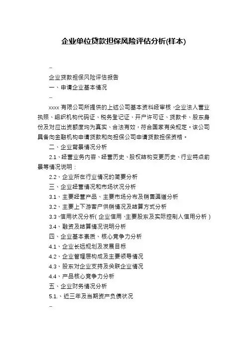 企业单位贷款担保风险评估分析(样本)