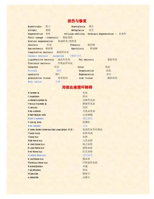 广西医科大学病理英语专业词库