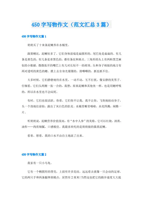 450字写物作文(范文汇总3篇)