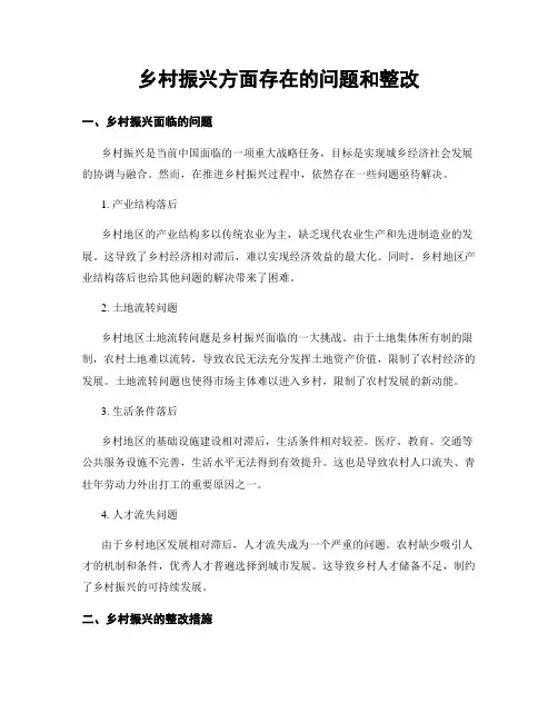 乡村振兴方面存在的问题和整改