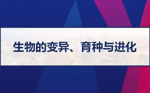 高考生物二轮复习 专题八 生物的变异、育种与进化 PPT
