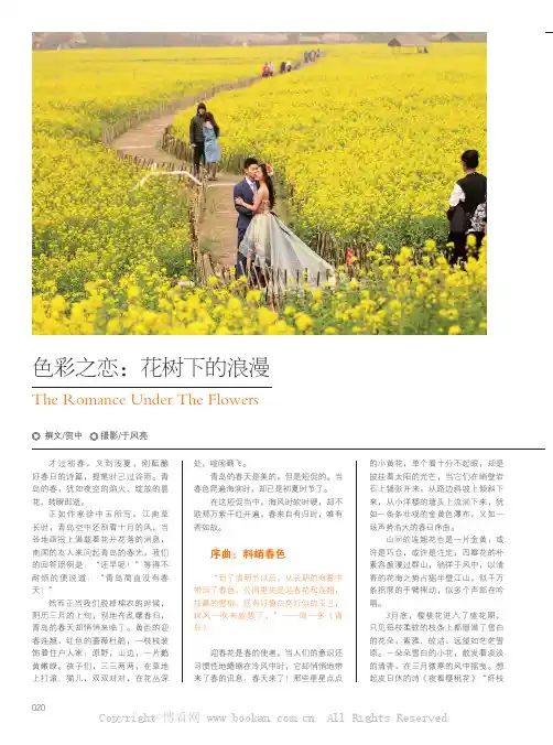 色彩之恋：花树下的浪漫