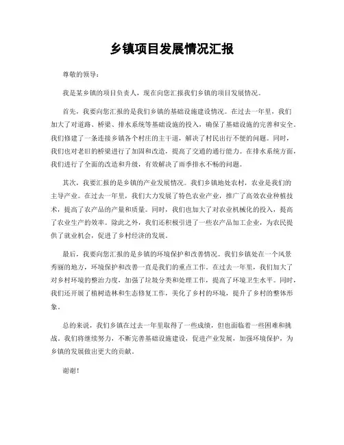 乡镇项目发展情况汇报