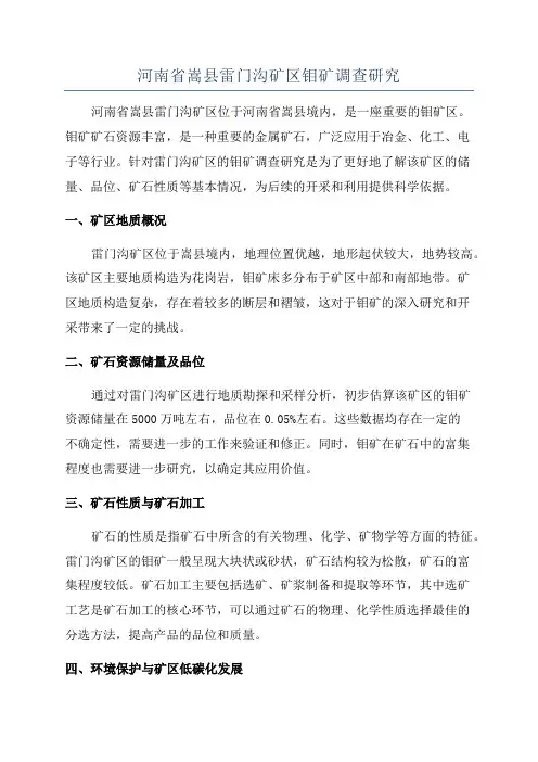 河南省嵩县雷门沟矿区钼矿调查研究