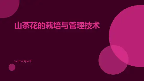 山茶花的栽培与管理技术