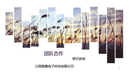 团队意识培训PPT课件