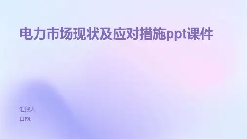 电力市场现状及应对措施ppt课件