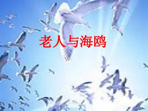 人教版六年级语文上册老人与海鸥ppt