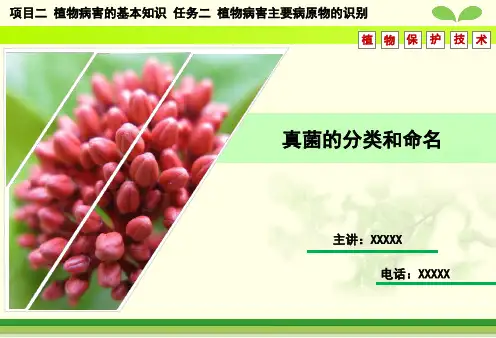 理解真菌五亚门分类系统及各亚门主要特征掌握真菌学名的命名方法
